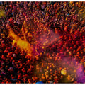 Holi