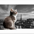 Art Prints of The Eiffel Cat