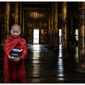 Young burmese monk