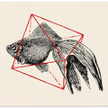 Fish In Geometrics Nº3