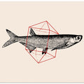 Art Prints of Fish In Geometrics Nº2