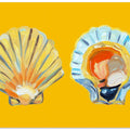 Scallops On Yellow