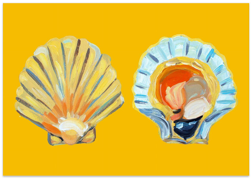 Scallops On Yellow