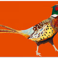 Strutting Pheasant On Orange