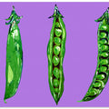 Peas In a Pod