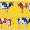 Cow Art On Yellow