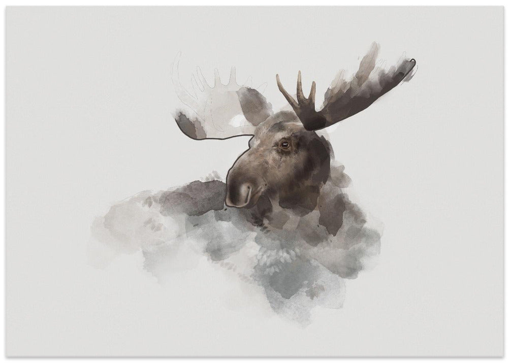 Elk
