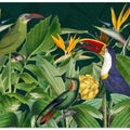 Rainforest Birds