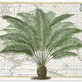 Tropical Empire No5