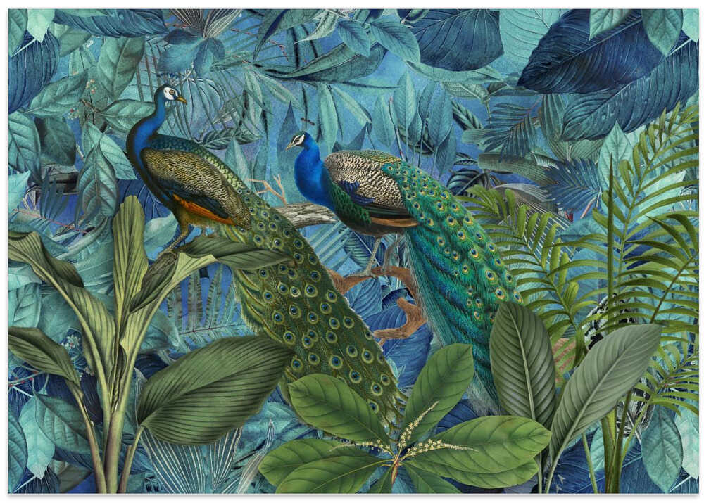 Jungle Birds Garden No1