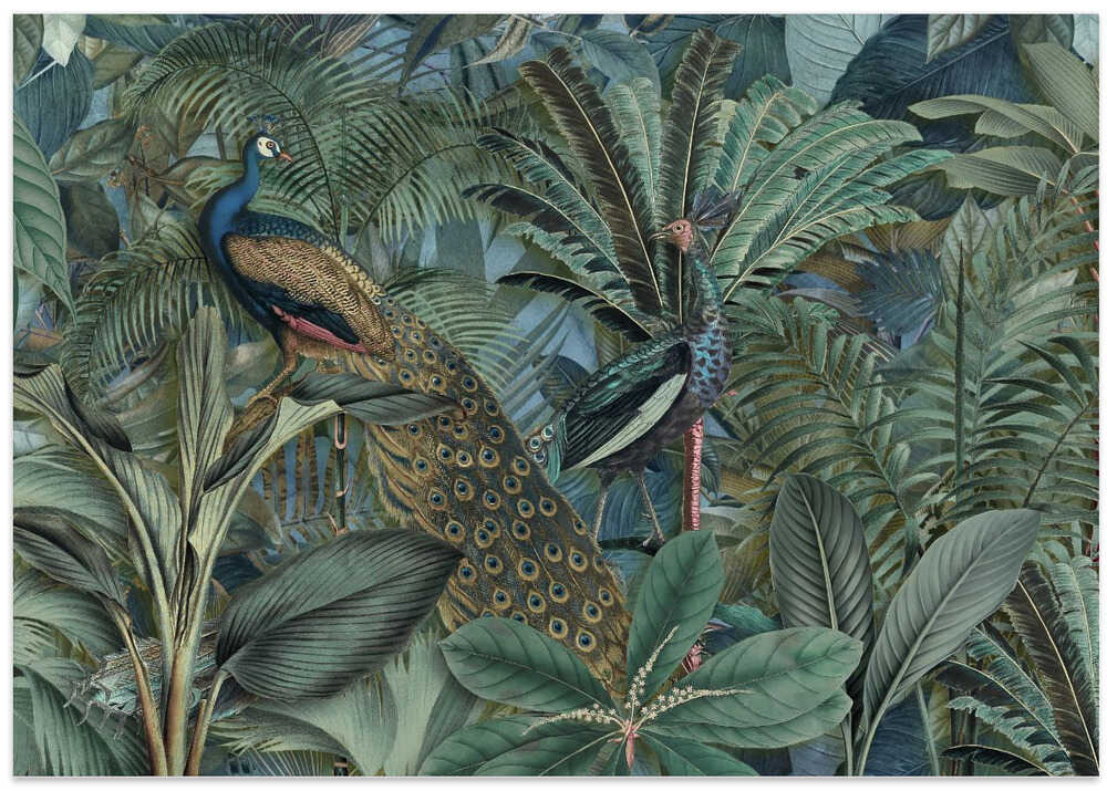 Jungle Birds Garden No2