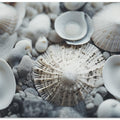 Seashell Symphony