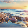 Seashell Serenity