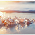 Seashell Serenity