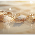 Seashell Serenade