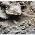 Seashell Serenity