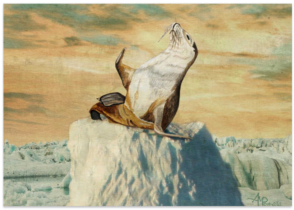 Greetings From the Arctic