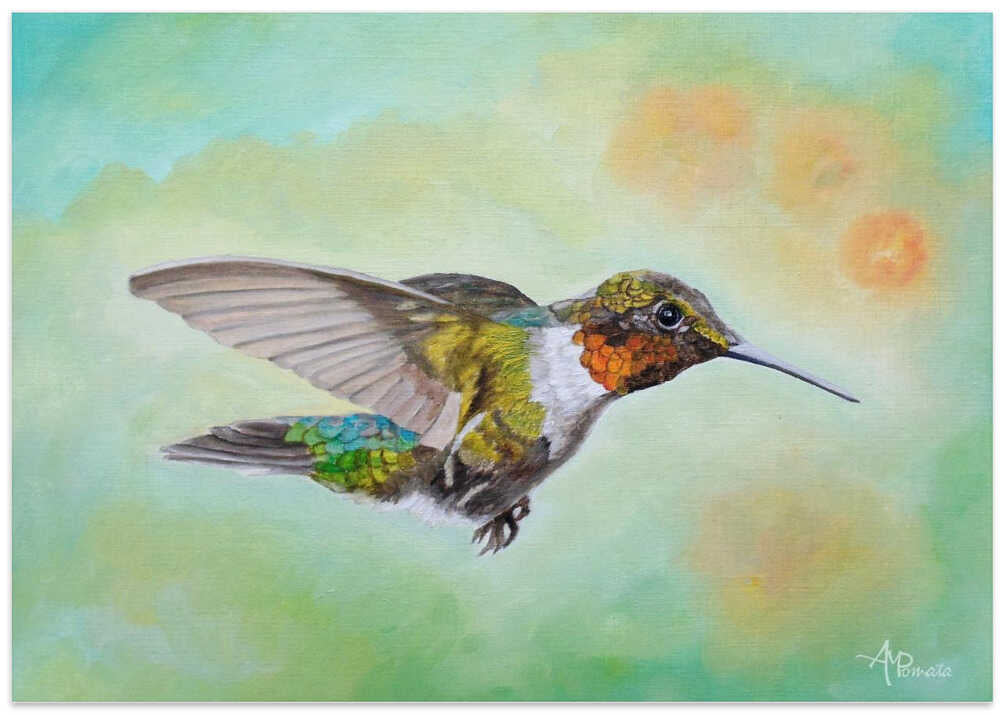 Motley Flying Hummer