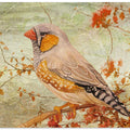 Zebra Finch Among Almond Trees
