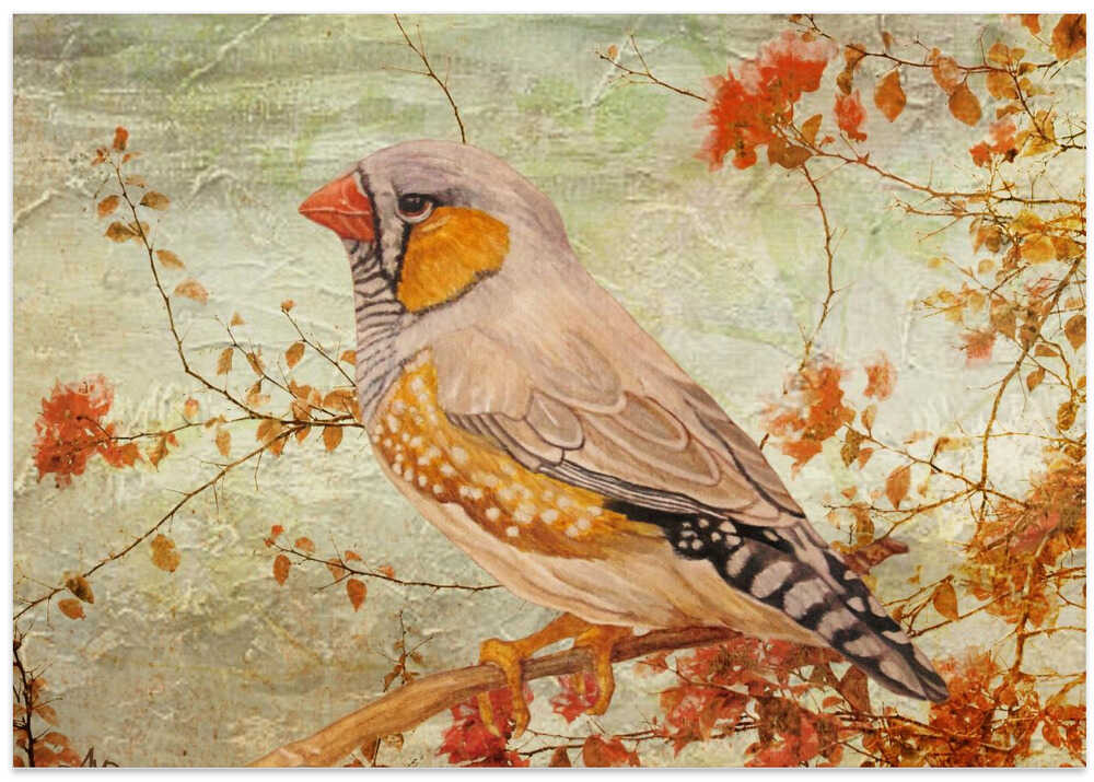 Zebra Finch Among Almond Trees