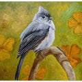 Big Eyed Tufted Titmouse