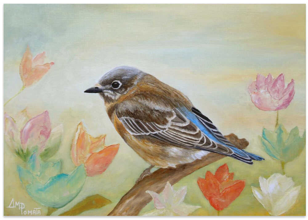 Bluebird On a Sunny Day