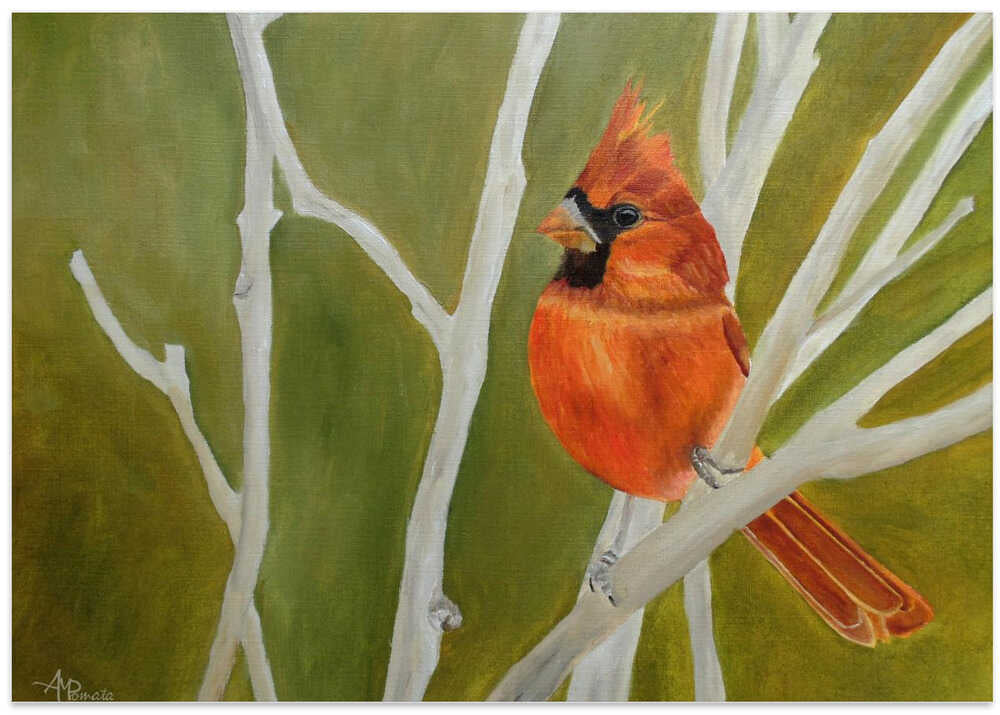 Cutest Ambushed Cardinal