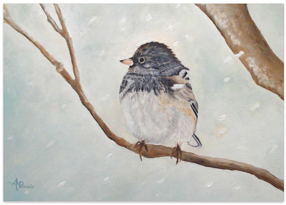 Snowbird In the Blizzard