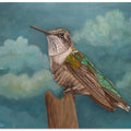 Moonlighting Hummingbird