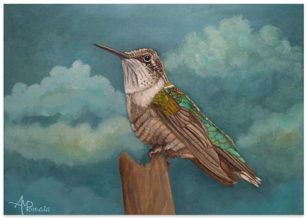 Moonlighting Hummingbird