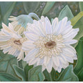White Gerbera