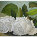 White Roses