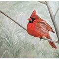Winter Cardinal
