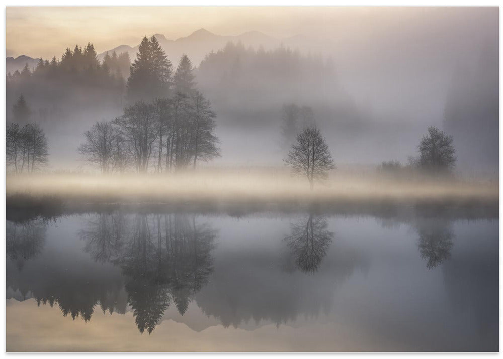 Mystic Morning III