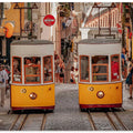 Trams