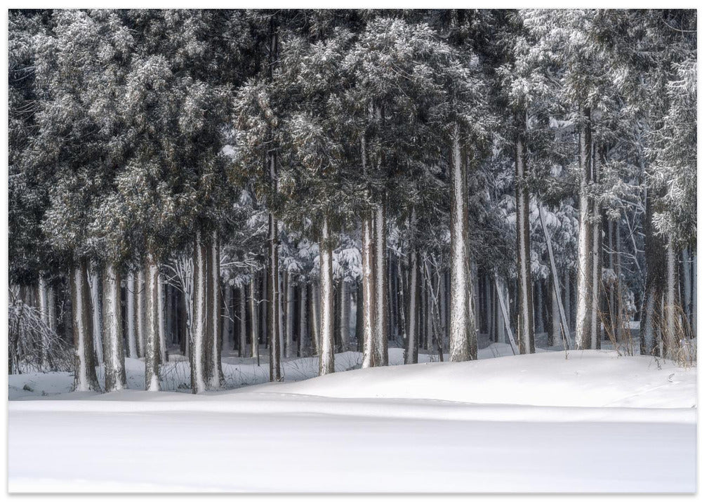 A place in a silver world