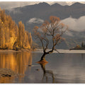 Autumn in Wanaka