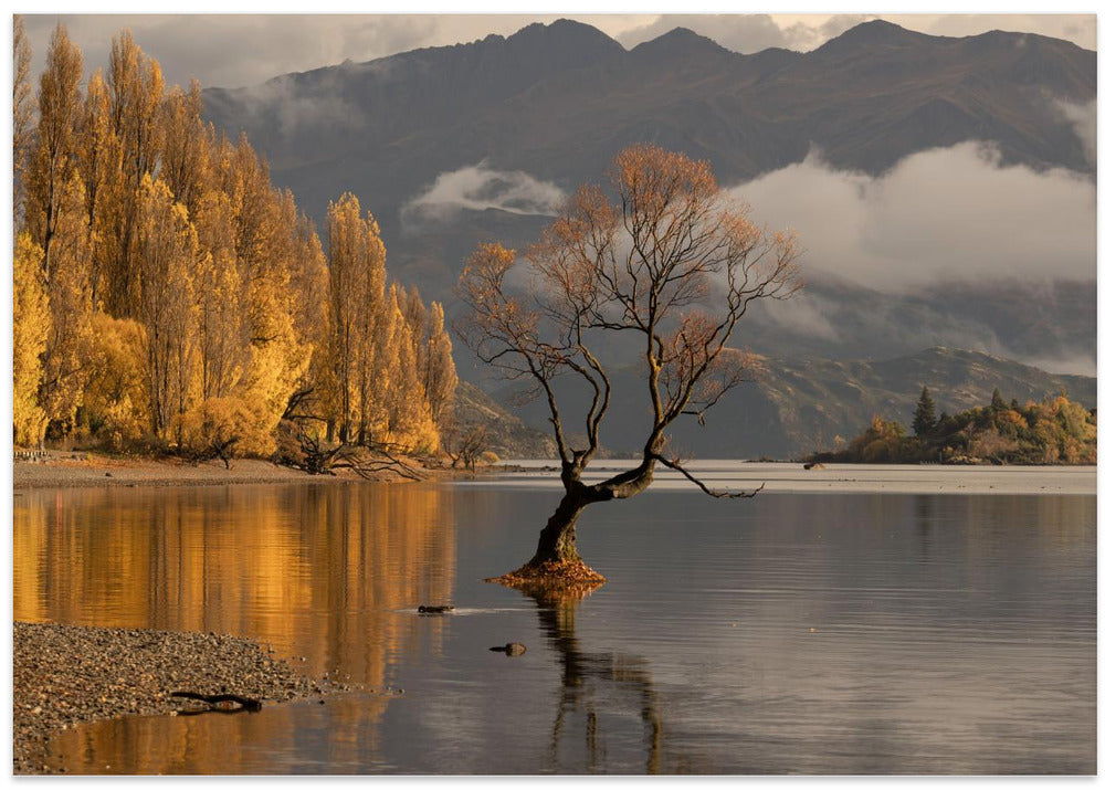 Autumn in Wanaka