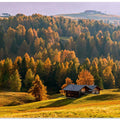 Autumn at Alpe Di Siusi
