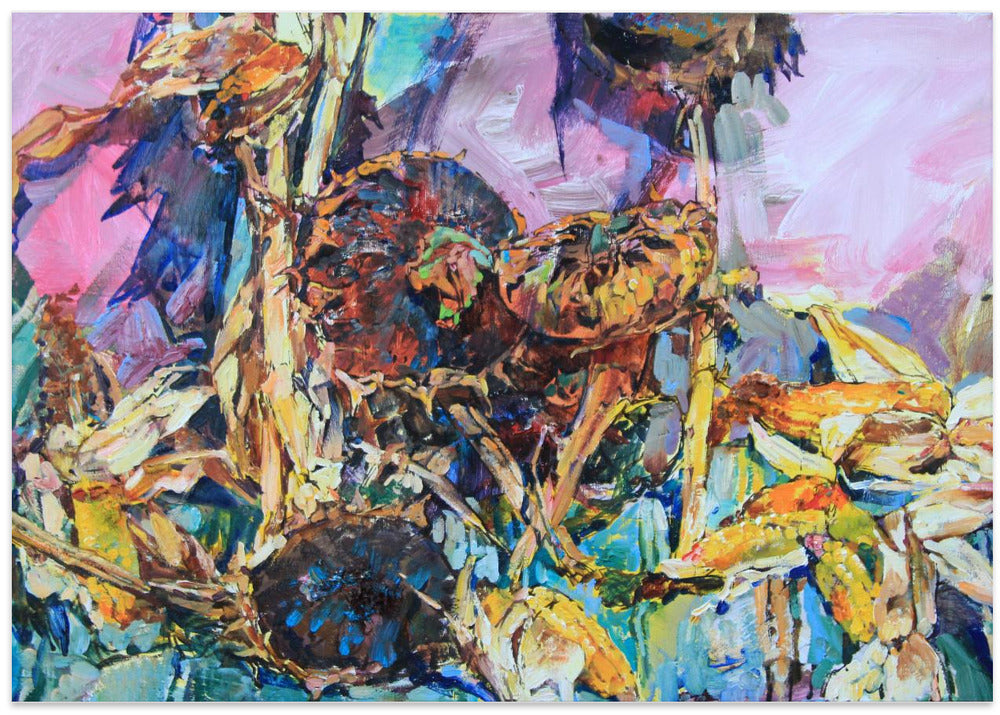 Ripe sunflowers and corn