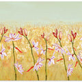 Field of Lilies