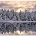 Winters reflection