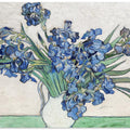 Vincent Van Gogh's Irises (1890).