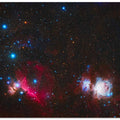 Orion Nebula