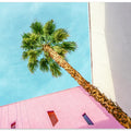 Art Prints of Palm Tree Lookup