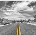 Park Boulevard, Joshua Tree National Park