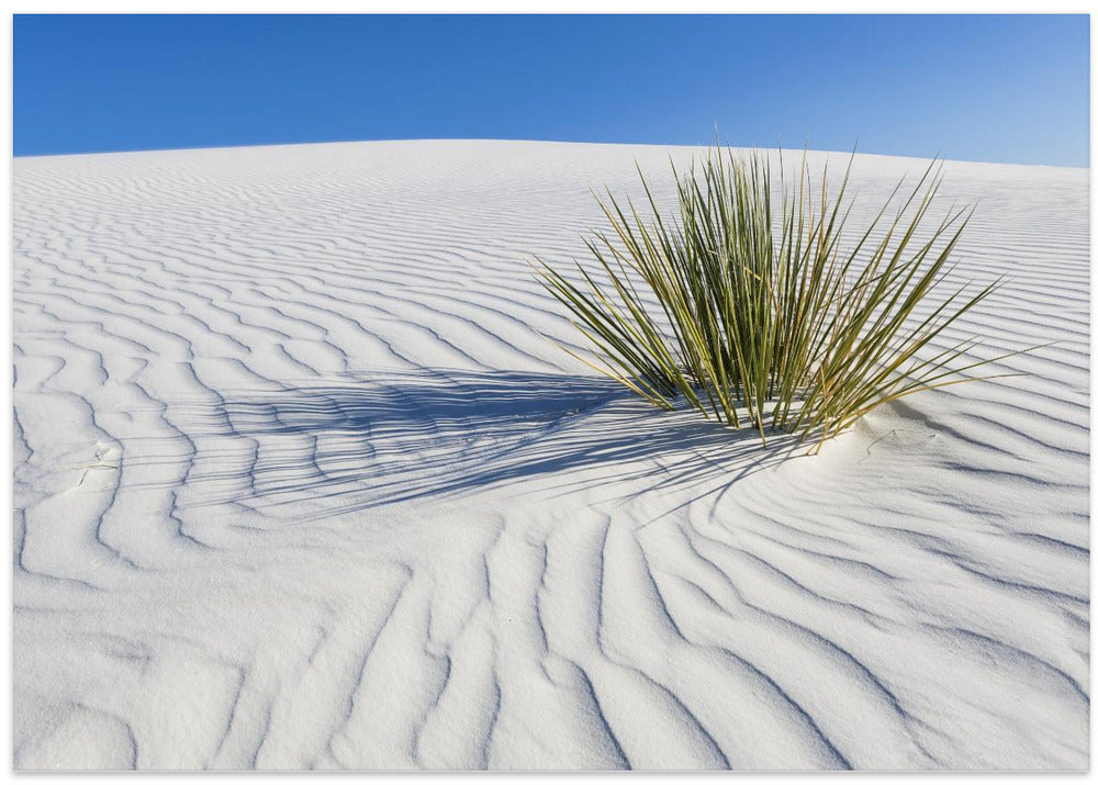 WHITE SANDS Idyllic scenery