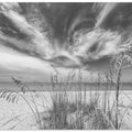 Art Prints of Heavenly calmness on the beach - monochrome