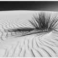 WHITE SANDS Idyllic scenery | Monochrome
