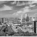 Art Prints of Unique Rotterdam panorama seen from the Euromast | Monochrome